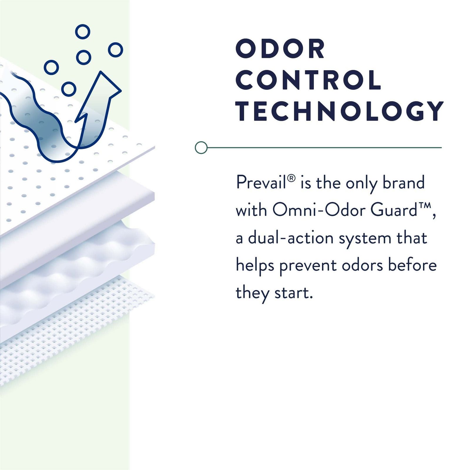 Unisex Adult Absorbent Underwear Prevail® Daily Underwear Pull On with Tear Away Seams Medium Disposable Moderate Absorbency 402953 - PV-512 402953 – PV-512 - Image 5